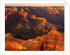 Grand Canyon Bathed in Sunlight by Anonymous