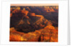 Grand Canyon Bathed in Sunlight by Anonymous