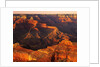 Grand Canyon Bathed in Sunlight by Anonymous