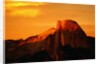 Sunlight on Half Dome by Anonymous