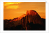 Sunlight on Half Dome by Anonymous