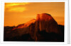 Sunlight on Half Dome by Anonymous