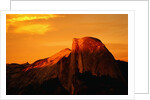 Sunlight on Half Dome by Anonymous