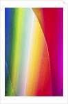 Colors by Anonymous