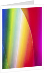 Colors by Anonymous