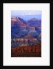 Grand Canyon by Anonymous