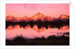 Mount Moran at Dusk by Anonymous