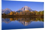 Mount Moran by Anonymous