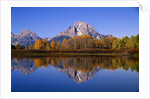 Mount Moran by Anonymous