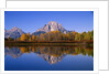 Mount Moran by Anonymous
