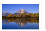 Mount Moran by Anonymous