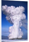 Old Faithful by Anonymous