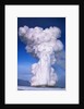 Old Faithful by Anonymous