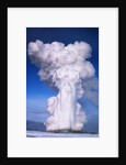 Old Faithful by Anonymous