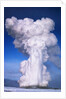 Old Faithful by Anonymous