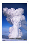 Old Faithful by Anonymous