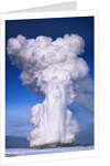 Old Faithful by Anonymous