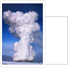 Old Faithful by Anonymous