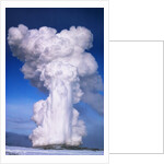 Old Faithful by Anonymous