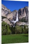Yosemite Falls by Anonymous