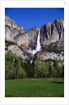 Yosemite Falls by Anonymous