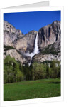 Yosemite Falls by Anonymous