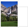 Yosemite Falls by Anonymous