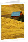 Barn and Golden Wheat Field by Anonymous
