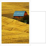 Barn and Golden Wheat Field by Anonymous