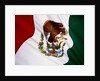 Flag of Mexico by Anonymous