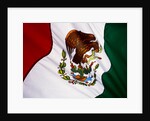 Flag of Mexico by Anonymous