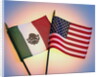 Flags of Mexico and United States by Anonymous