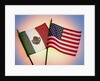 Flags of Mexico and United States by Anonymous