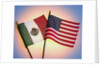 Flags of Mexico and United States by Anonymous