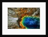 Grand Prismatic Hot Spring by Anonymous