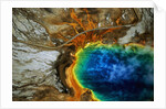 Grand Prismatic Hot Spring by Anonymous