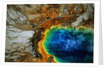 Grand Prismatic Hot Spring by Anonymous