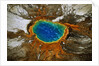 Grand Prismatic Hot Spring by Anonymous