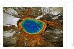 Grand Prismatic Hot Spring by Anonymous