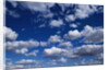 Puffy White Clouds in a Blue Sky by Anonymous