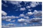 Puffy White Clouds in a Blue Sky by Anonymous