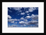 Puffy White Clouds in a Blue Sky by Anonymous