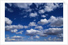 Puffy White Clouds in a Blue Sky by Anonymous