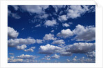 Puffy White Clouds in a Blue Sky by Anonymous