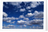Puffy White Clouds in a Blue Sky by Anonymous