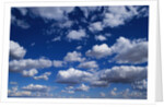 Puffy White Clouds in a Blue Sky by Anonymous