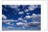 Puffy White Clouds in a Blue Sky by Anonymous