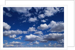 Puffy White Clouds in a Blue Sky by Anonymous