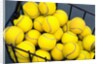 Tennis Balls in Basket by Anonymous