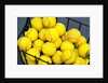 Tennis Balls in Basket by Anonymous